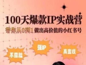 小红书100天爆款IP实战营，带你从0到1做出高价值的小红书号-89网创