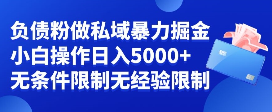 负债粉私域暴力掘金，小白操作入5000，无经验限制，无条件限制【揭秘】-89网创