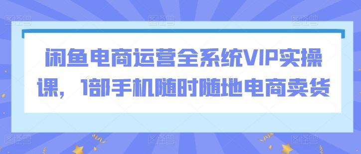 闲鱼电商运营全系统VIP实操课，1部手机随时随地电商卖货-89网创