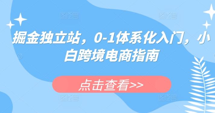 掘金独立站，0-1体系化入门，小白跨境电商指南-89网创