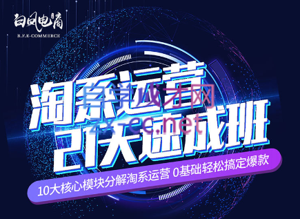 淘系运营21天速成班(更新24年5月)-89网创