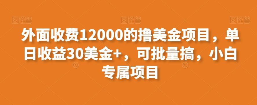 外面收费12000的撸美金项目，单日收益30美金+，可批量搞，小白专属项目-89网创