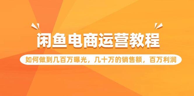 (9560期)闲鱼电商运营教程：如何做到几百万曝光，几十万的销售额，百万利润-89网创