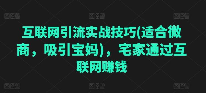 互联网引流实战技巧(适合微商，吸引宝妈)，宅家通过互联网赚钱-89网创