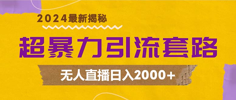 超暴力引流套路，无人直播日入2000+-89网创