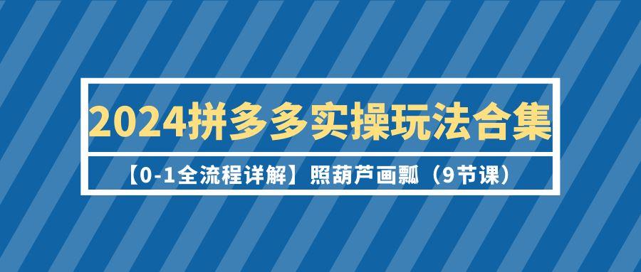 (9559期)2024拼多多实操玩法合集【0-1全流程详解】照葫芦画瓢(9节课)-89网创