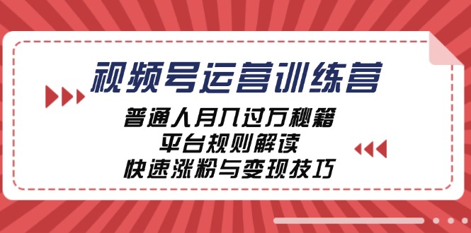 视频号运营训练营：普通人月入过万秘籍，平台规则解读，快速涨粉与变现-89网创
