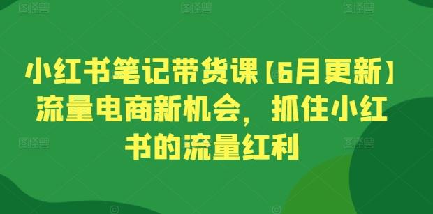 小红书笔记带货课【6月更新】流量电商新机会，抓住小红书的流量红利-89网创