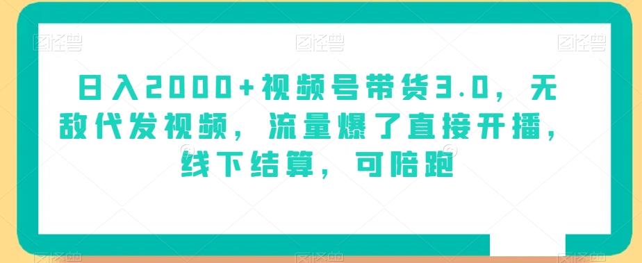 日入2000+视频号带货3.0，无敌代发视频，流量爆了直接开播，线下结算，可陪跑-89网创