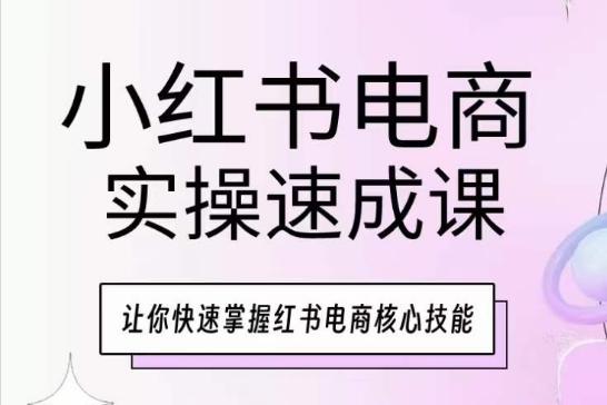 小红书电商实操速成课，让你快速掌握红书电商核心技能-89网创