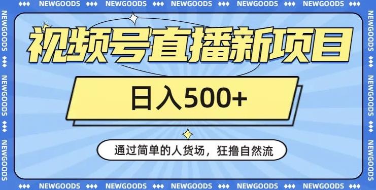 视频号直播新项目，通过简单的人货场，狂撸自然流，日入500+【260G资料】-89网创