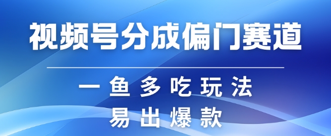 视频号创作者分成计划偏门类目，容易爆流，实拍内容简单易做【揭秘】-89网创