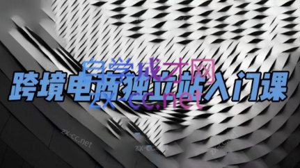 团长·跨境电商独立站入门课(2小时精华)-89网创