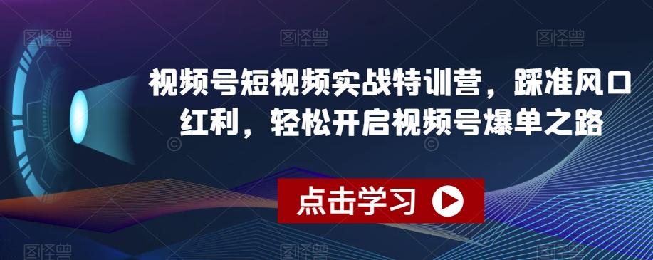 视频号短视频实战特训营，踩准风口红利，轻松开启视频号爆单之路-89网创