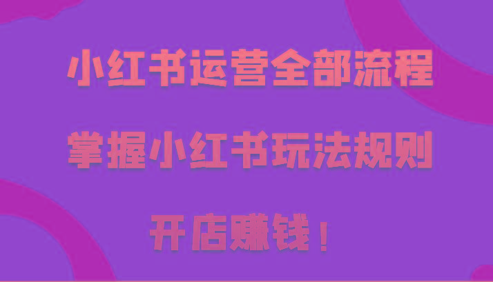 小红书运营全部流程，掌握小红书玩法规则，开店赚钱！-89网创