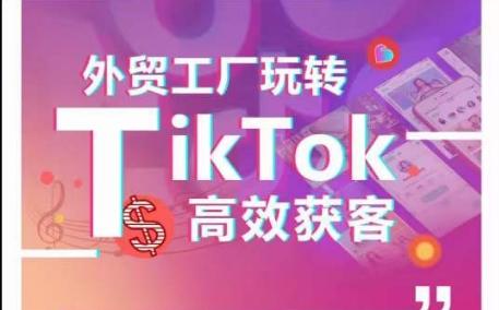外贸工厂玩转TikTok高效获客，多种引流方式与账号定位技巧，拆解爆款短视频打造成功案例-89网创