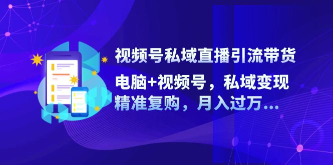 视频号私域直播引流带货：电脑+视频号，私域变现，精准复购，月入过万…-89网创