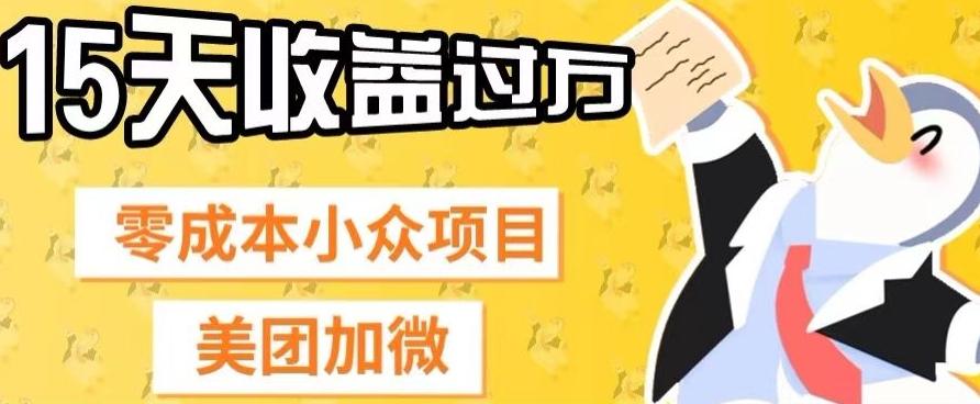零成本小众项目，美团加微，一单4.5+，15天已经有人赚上万收益-89网创
