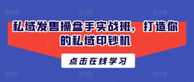 私域发售操盘手实战班，打造你的私域印钞机-89网创