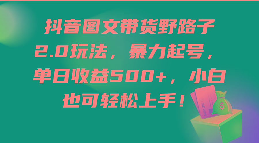 (9790期)抖音图文带货野路子2.0玩法，暴力起号，单日收益500+，小白也可轻松上手！-89网创