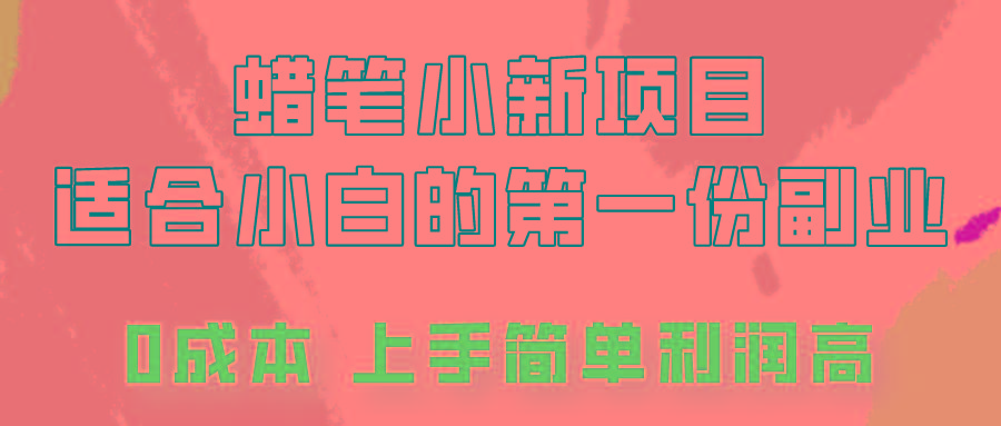 蜡笔小新项目拆解，0投入，0成本，小白一个月也能多赚3000+-89网创