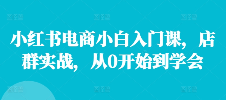 小红书电商小白入门课，店群实战，从0开始到学会-89网创