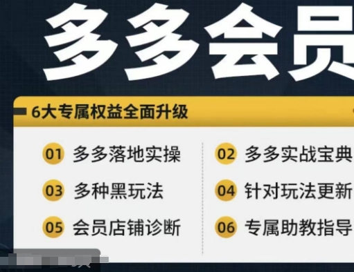 拼多多会员，拼多多实战宝典+实战落地实操，从新手到高阶内容全面覆盖-89网创