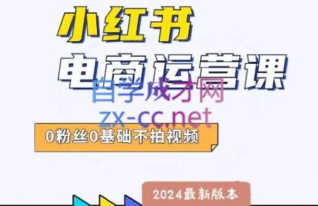 达哥·小红书电商运营(2024版)-89网创