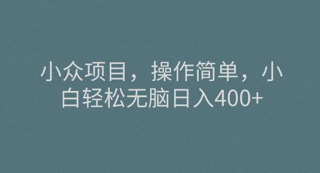 小众项目，操作简单，小白轻松无脑日入400+-89网创