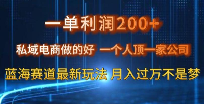 一单利润200私域电商做的好，一个人顶一家公司蓝海赛道最新玩法【揭秘】-89网创