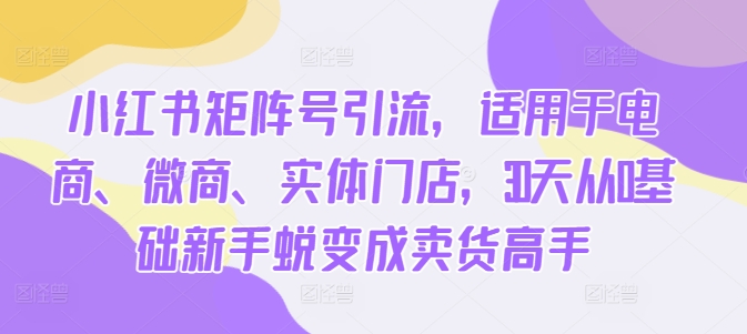 小红书矩阵号引流，适用于电商、微商、实体门店，30天从0基础新手蜕变成卖货高手-89网创