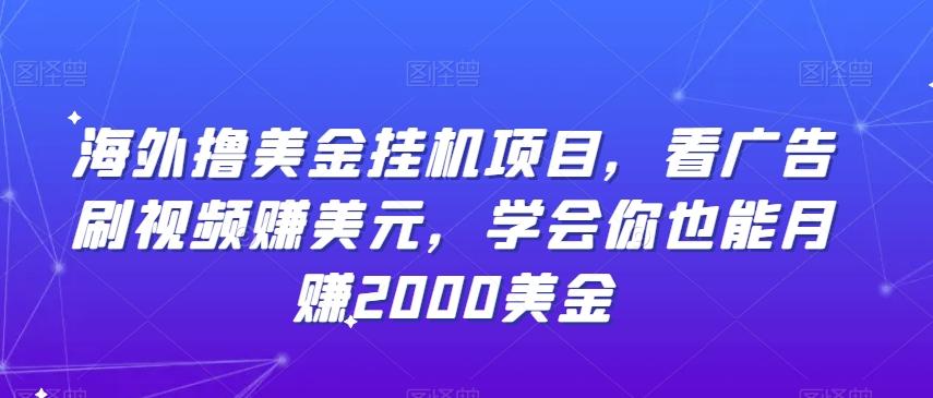 海外撸美金挂机项目，看广告刷视频赚美元，学会你也能月赚2000美金-89网创