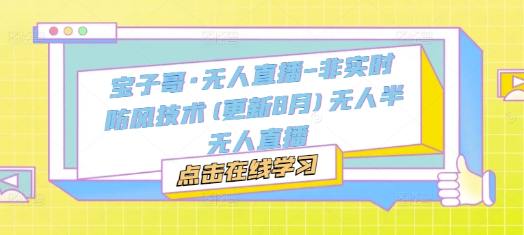 宝子哥·无人直播-非实时防风技术(更新8月)无人半无人直播-89网创
