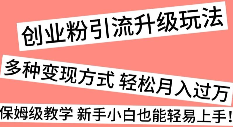 创业粉引流升级玩法，多种变现方式轻松月入过万，保姆级教学新手小白也能轻易上手！-89网创