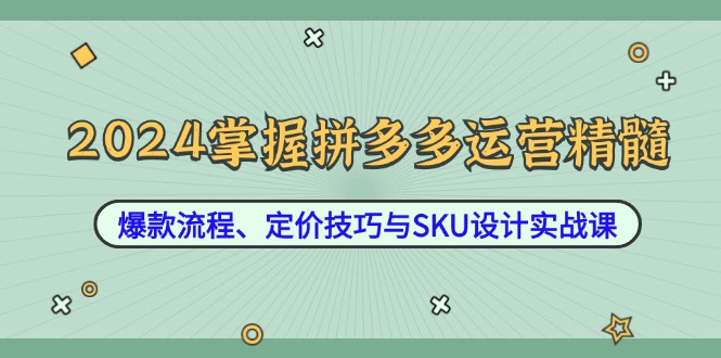 2024掌握拼多多运营精髓：爆款流程、定价技巧与SKU设计实战课-89网创