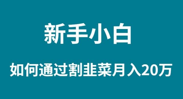 (9308期)新手小白如何通过割韭菜月入 20W-89网创