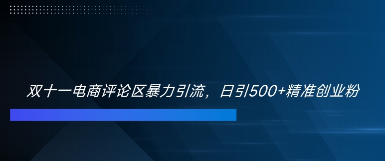 双十一电商评论区暴力引流，日引500+精准创业粉【揭秘】-89网创