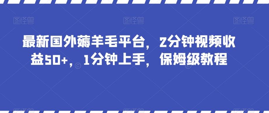 最新国外薅羊毛平台，2分钟视频收益50+，1分钟上手，保姆级教程【揭秘】-89网创