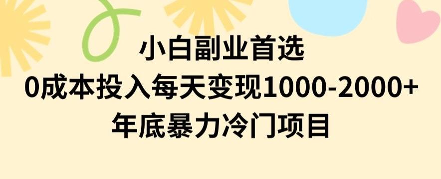小白副业首选，0成本投入，每天变现1000-2000年底暴力冷门项目【揭秘】-89网创