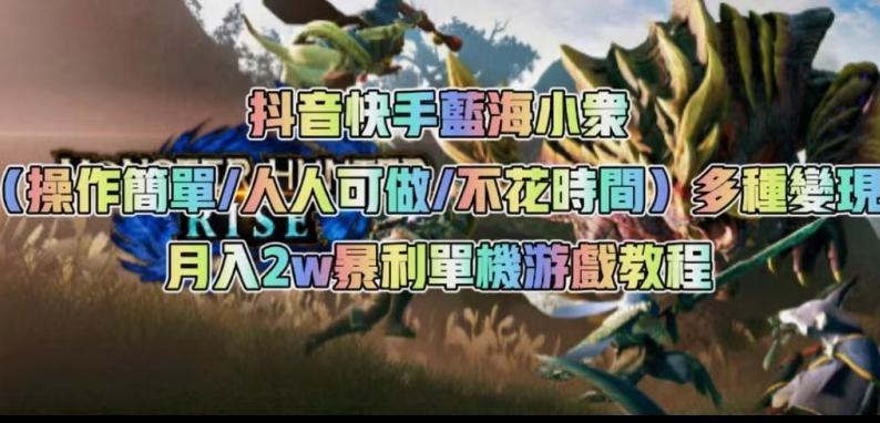抖音快手蓝海小众（操作简单人人可做不花时间）多种变现月入2w＋暴利单机游戏教程-89网创
