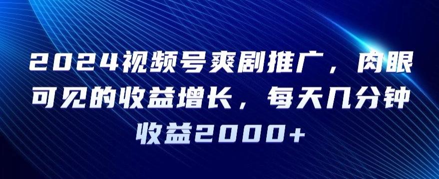 2024视频号爽剧推广，肉眼可见的收益增长，每天几分钟收益2000+【揭秘】-89网创