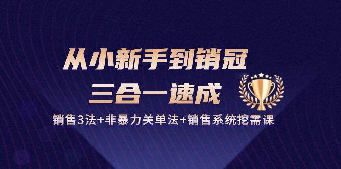 从小新手到销冠 三合一速成：销售3法+非暴力关单法+销售系统挖需课 (27节-89网创