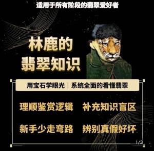 林鹿的翡翠知识，​用宝石眼光，系统全面的看懂翡翠-89网创