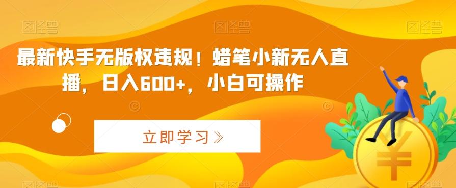 最新快手无版权违规！蜡笔小新无人直播，日入600+，小白可操作【揭秘】-89网创