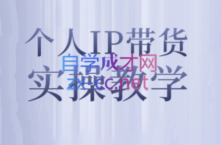 萌神姐姐·个人IP真人出镜短视频实操课-89网创