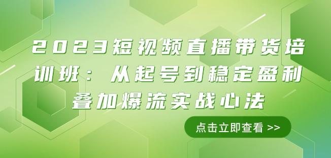 2023短视频直播带货培训班：从起号到稳定盈利叠加爆流实战心法（11节课）-89网创