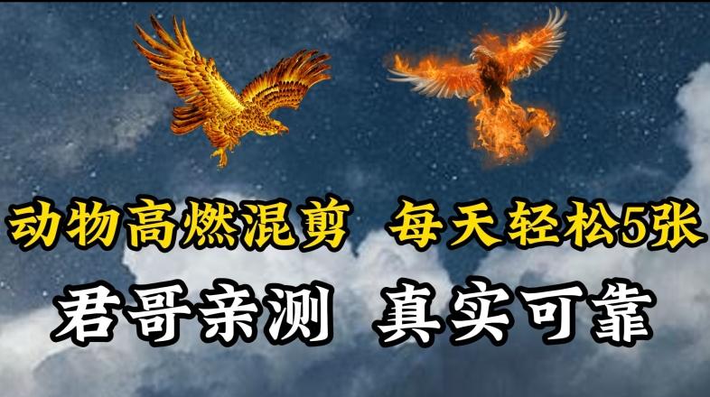 动物超燃混剪，每天轻松5张，剪辑简单大家爱看【揭秘】-89网创