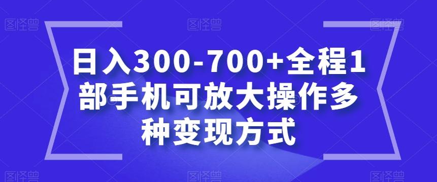 日入300-700+全程1部手机可放大操作多种变现方式【揭秘】-89网创