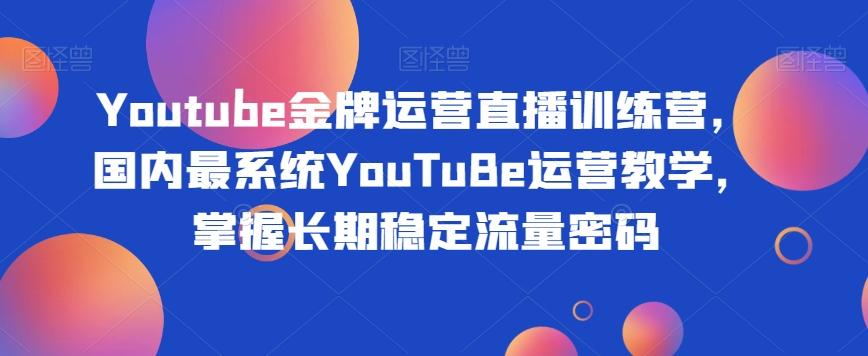 Youtube金牌运营直播训练营，国内最系统YouTuBe运营教学，掌握长期稳定流量密码-89网创