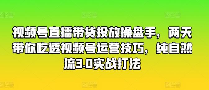 视频号直播带货投放操盘手，两天带你吃透视频号运营技巧，纯自然流3.0实战打法-89网创